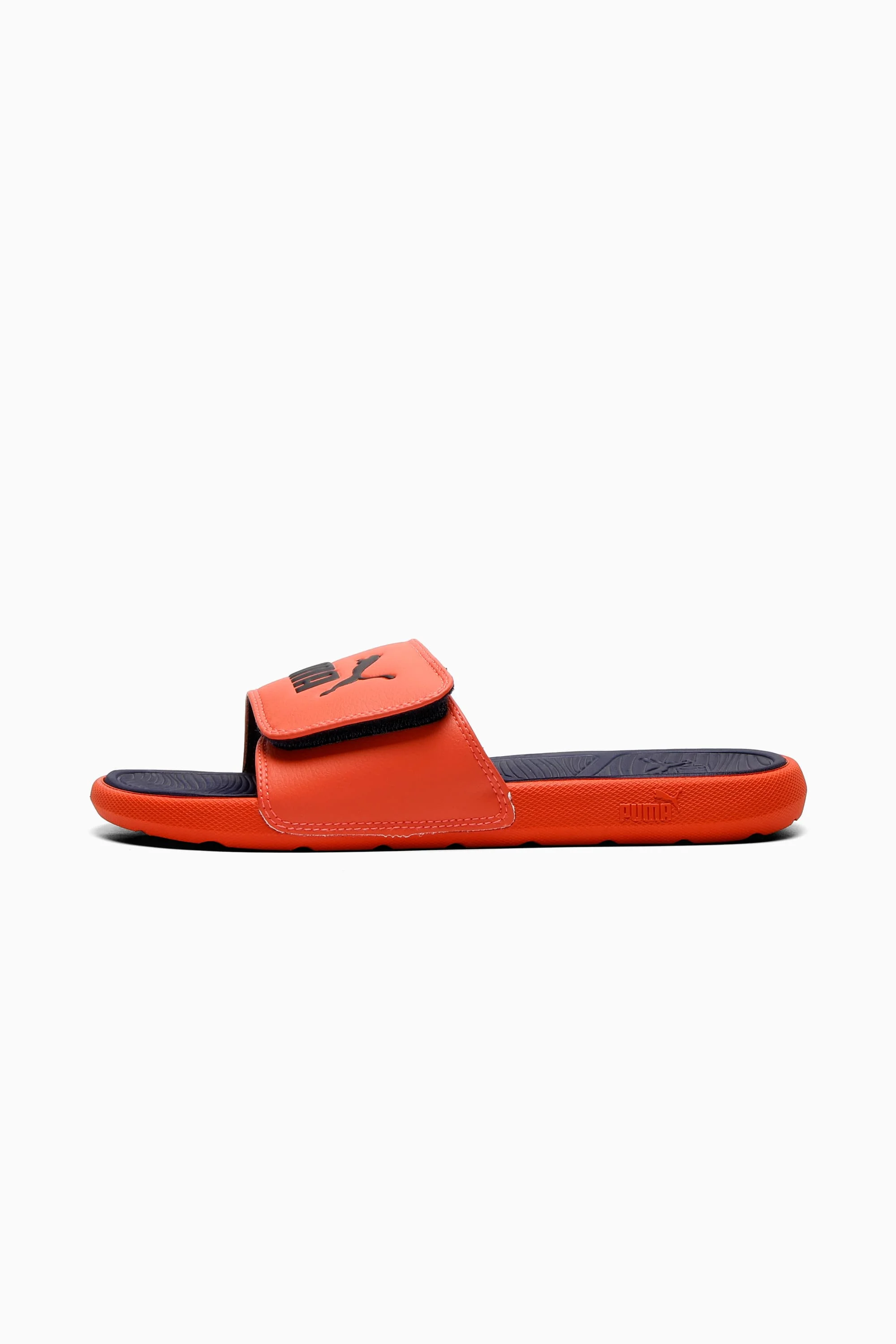Cool Cat 2.0 Slides - 1