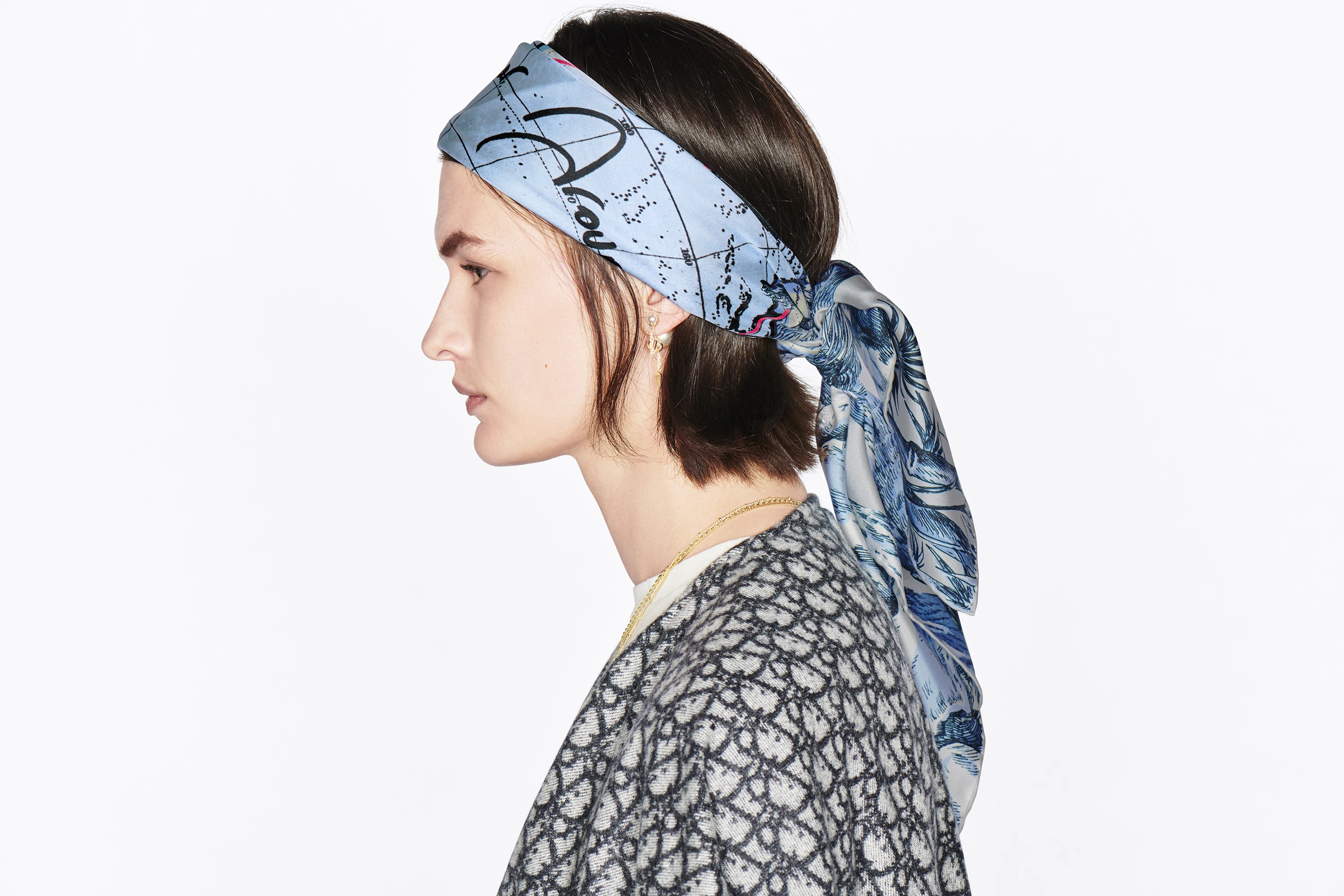 Dior Around the World Square Scarf - 5