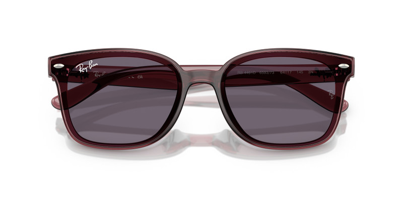 Ray-Ban RB4461D outlook