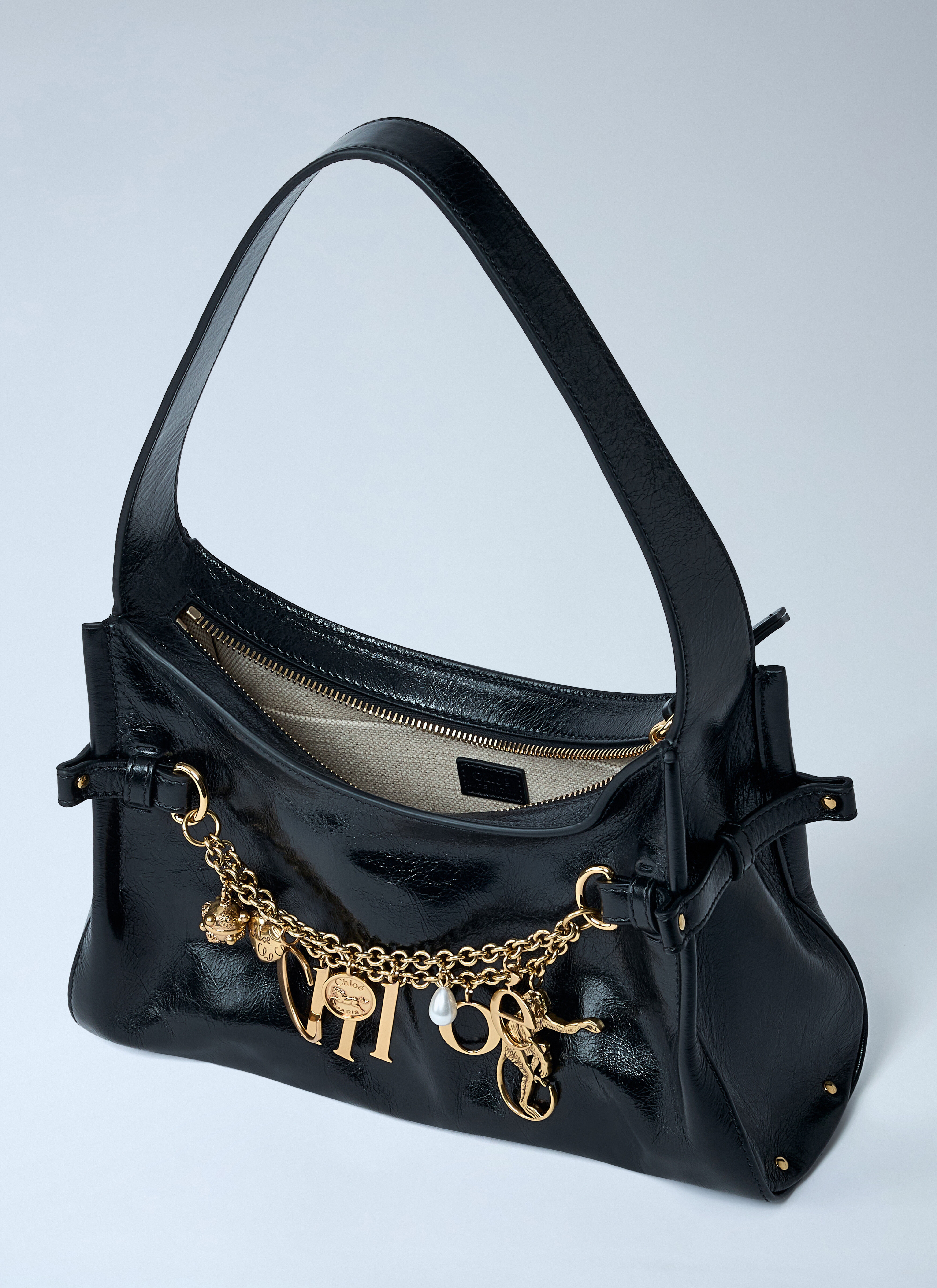Charm Hobo Bag - 5