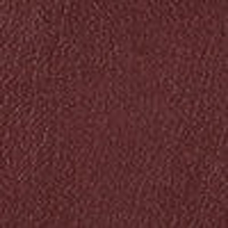 Sofia 8.75 Crossbody Bag in Leather 5