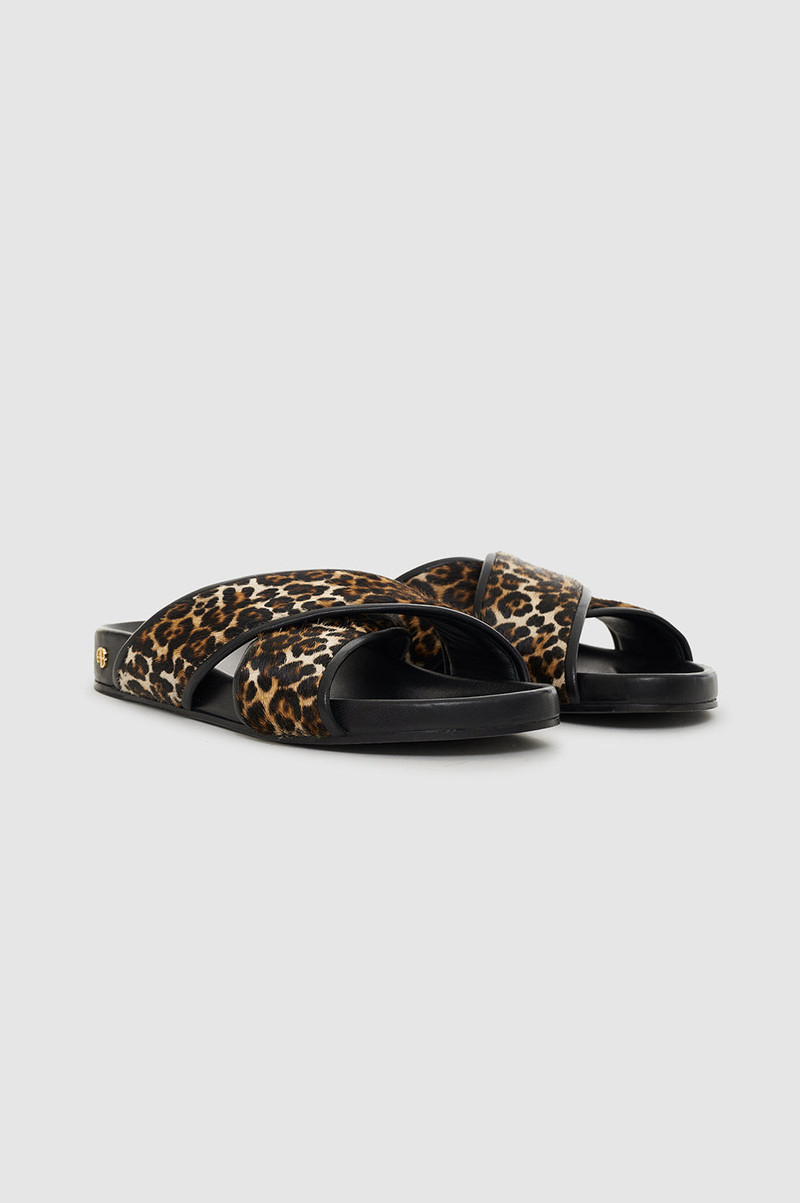 Emi Slides - Leopard 4