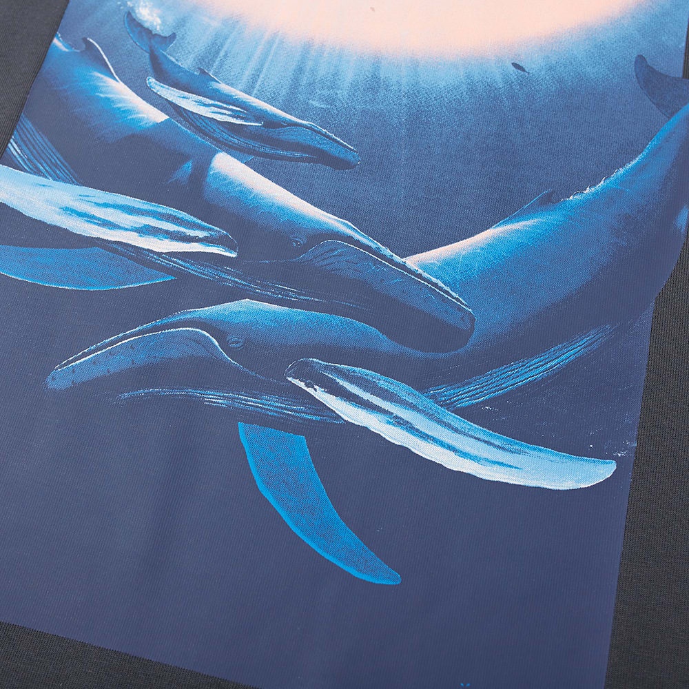 Nike ACG Whale Tee - 2