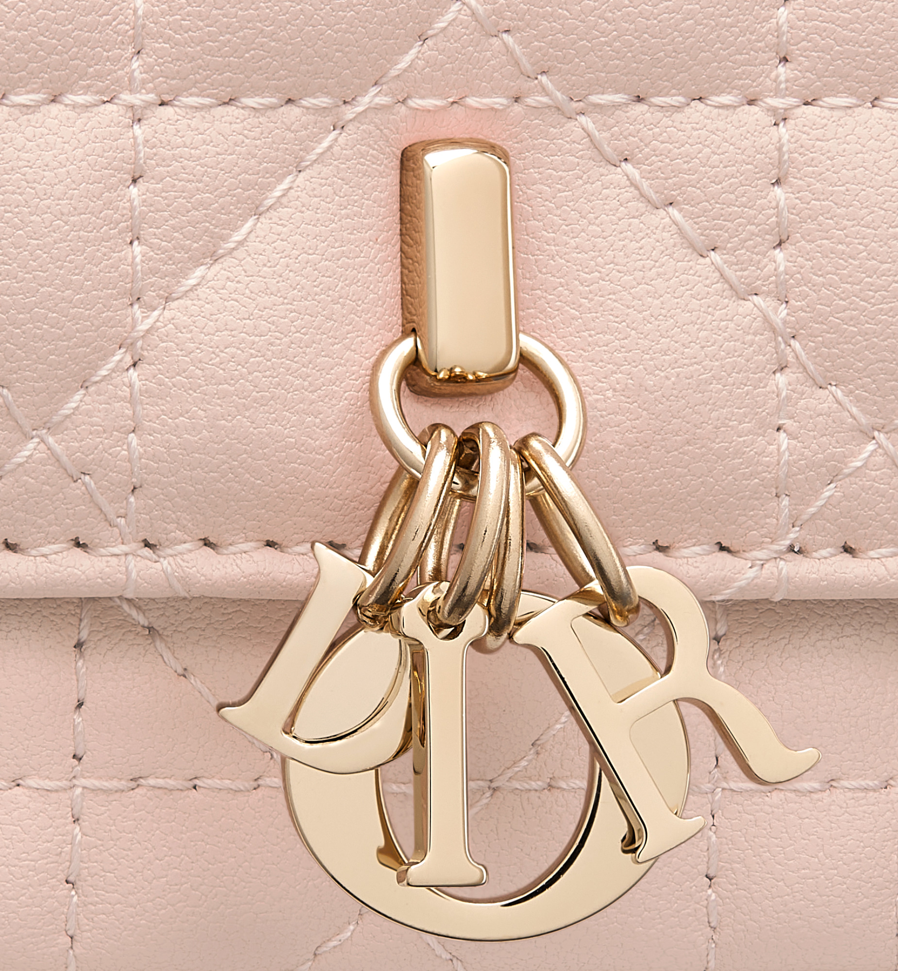 My Dior Phone Pouch - 6