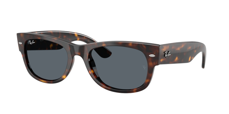 MEGA WAYFARER II 3