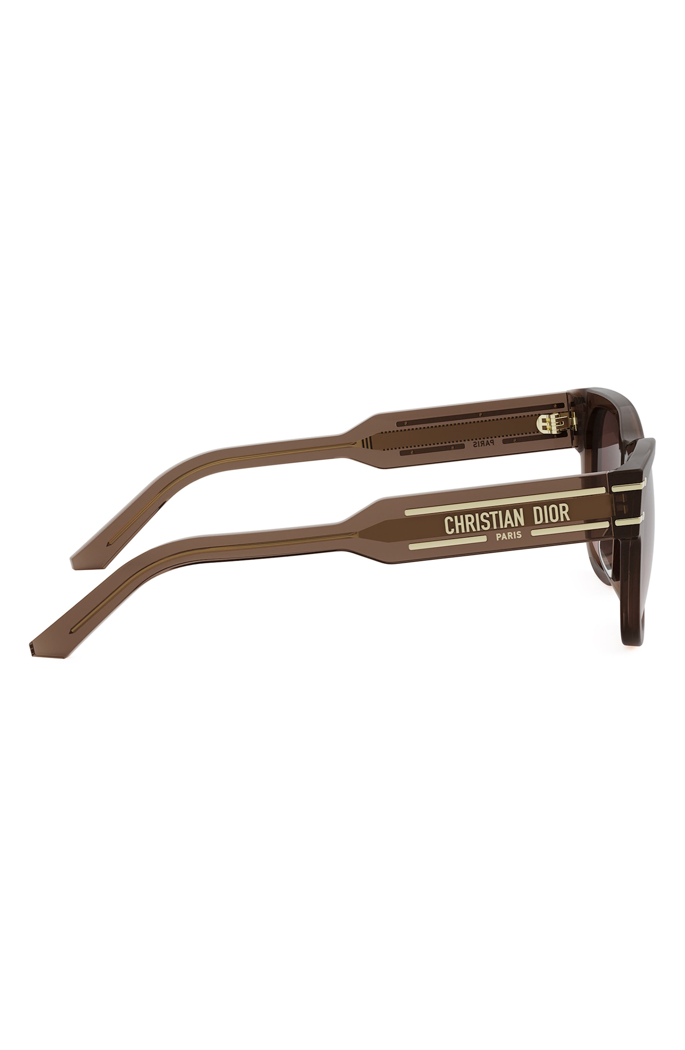 'DiorSignature S6U 54mm Butterfly Sunglasses in Shiny Light Brown /Roviex at Nordstrom - 3