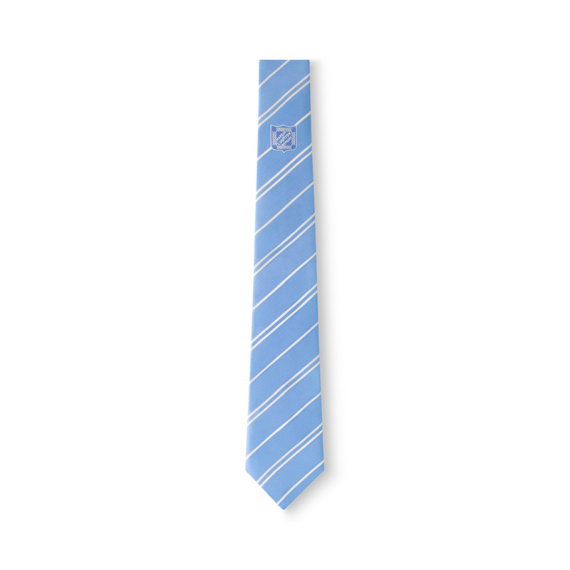 Ecu Stripes Tie 1