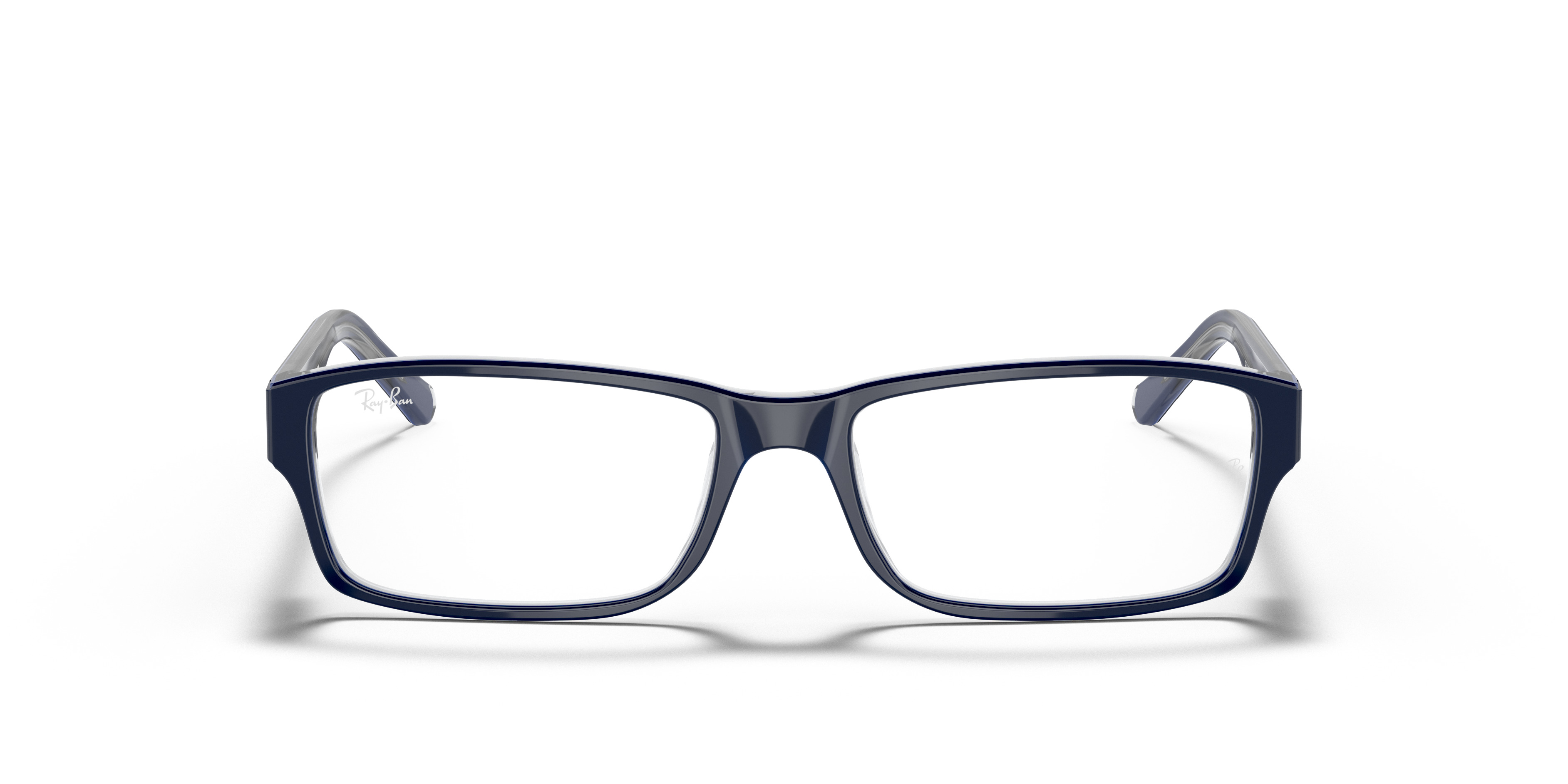 RB5169 OPTICS - 4