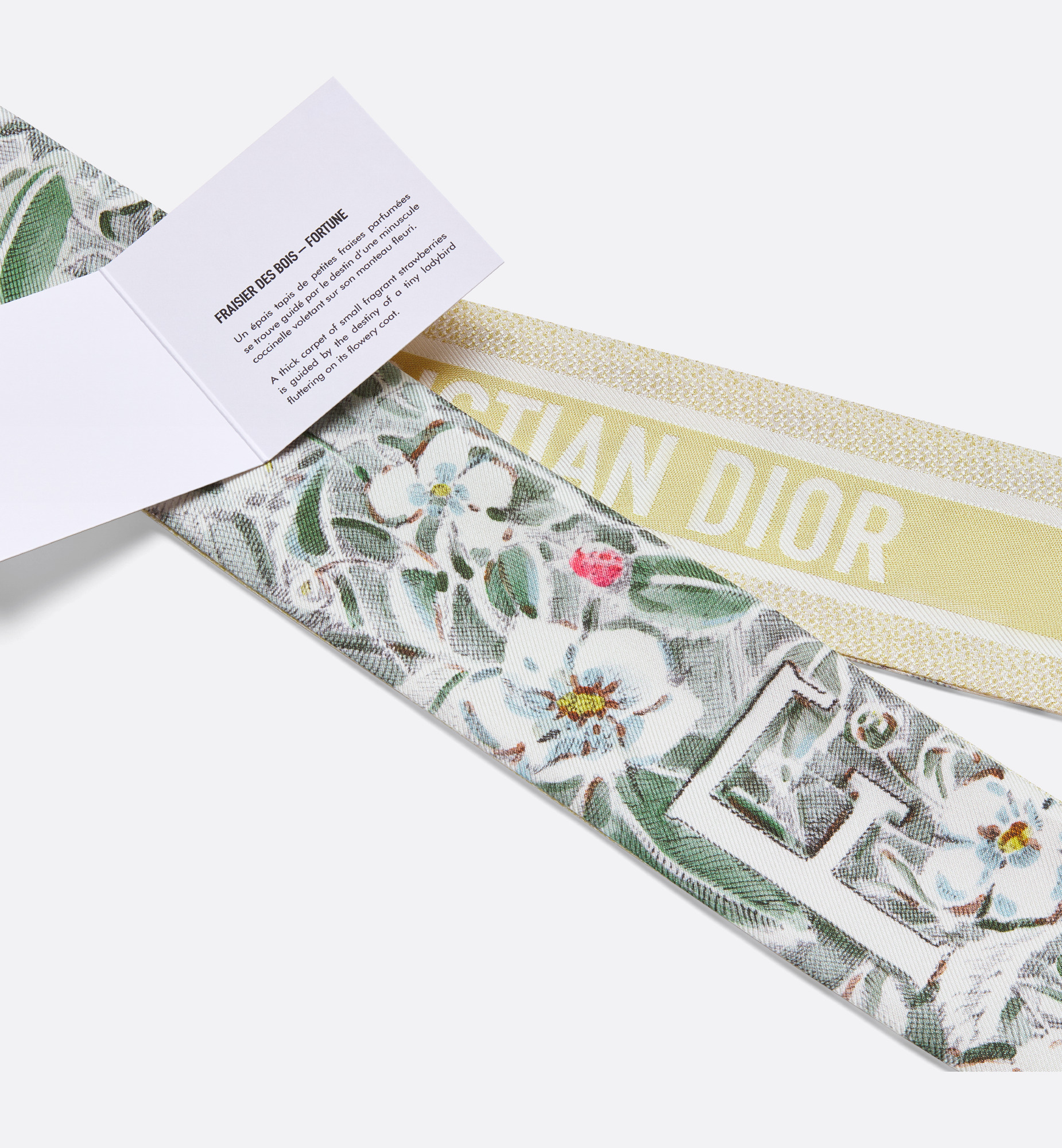 ABCDior F Fraisier des Bois - Fortune Mitzah Scarf - 5