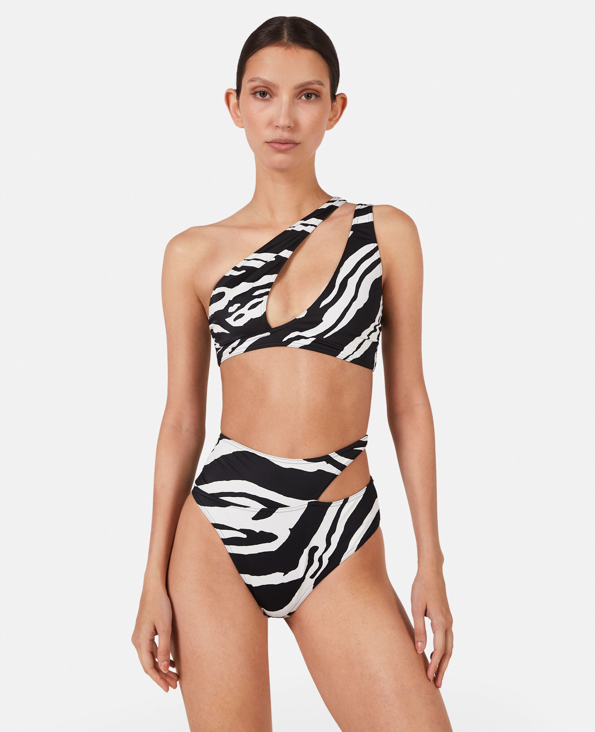 Zebra Print Cut-Out High-Waisted Bikini Briefs - 2