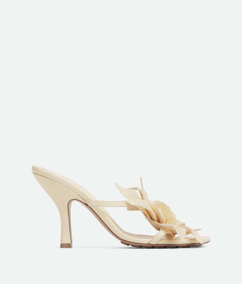 Adam Sandal - 1