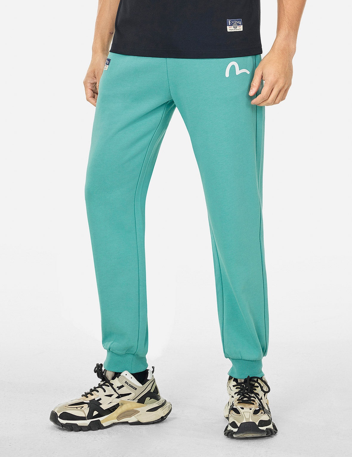 Spray-dyed Seagull and Logo Print Straight Fit Sweatpants - 6