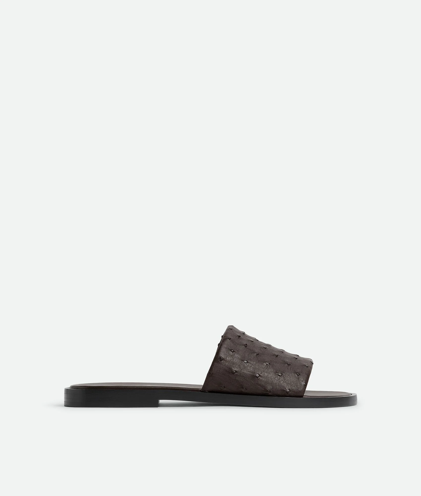 Elio Mule - 1