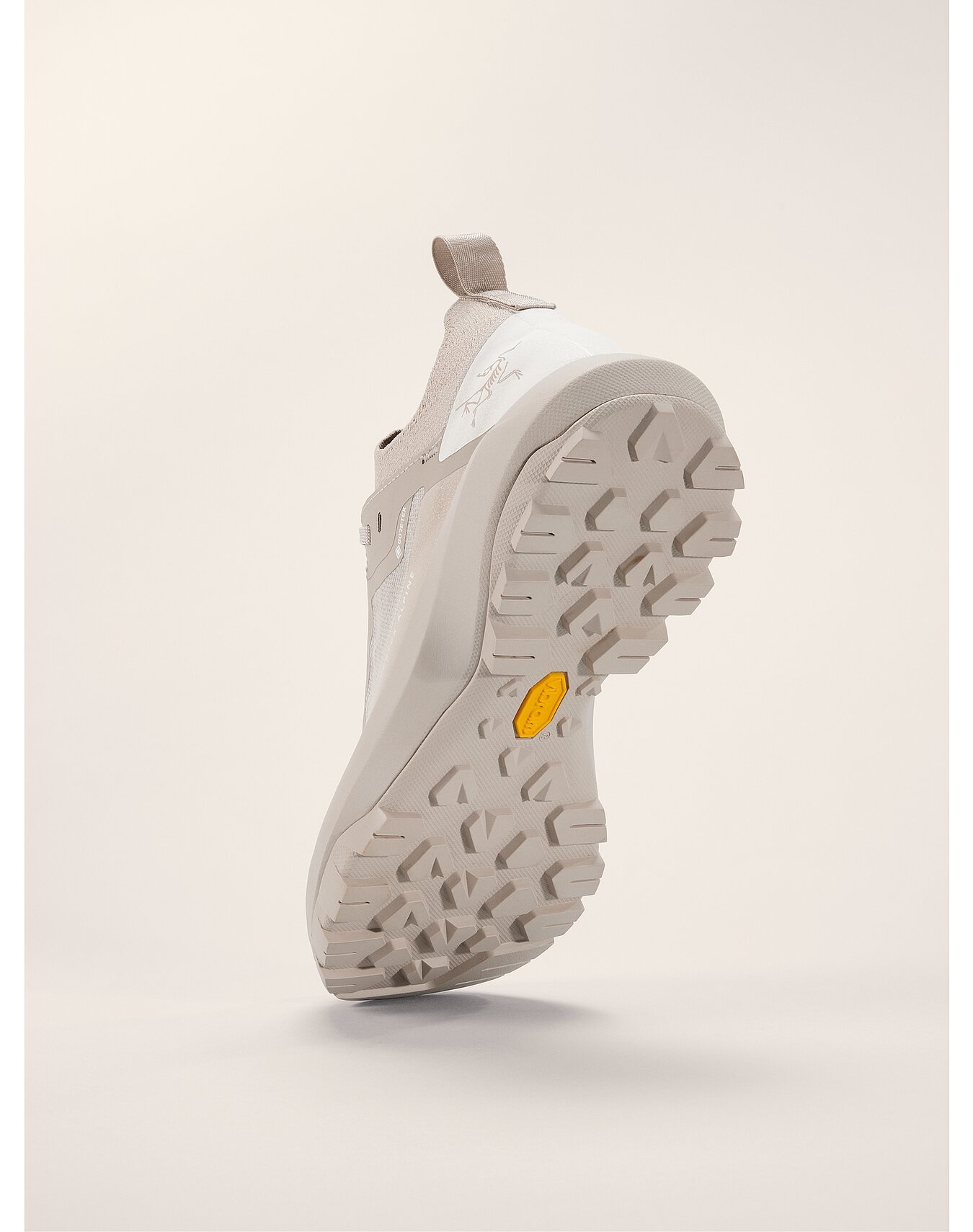 Vertex Alpine GTX Shoe - 4