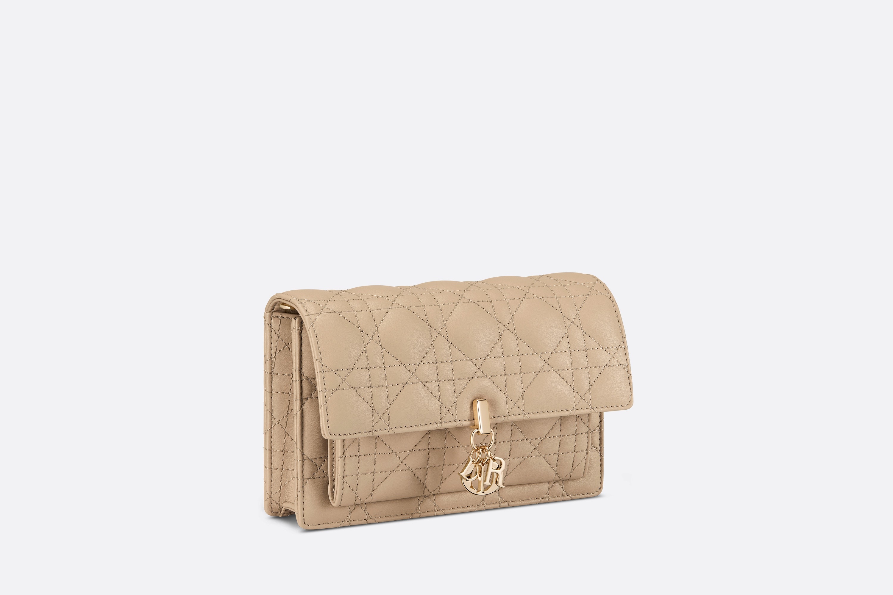 Lady Dior Chain Pouch - 2