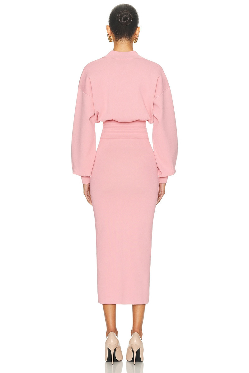 HELSA Hildie Polo Dress outlook