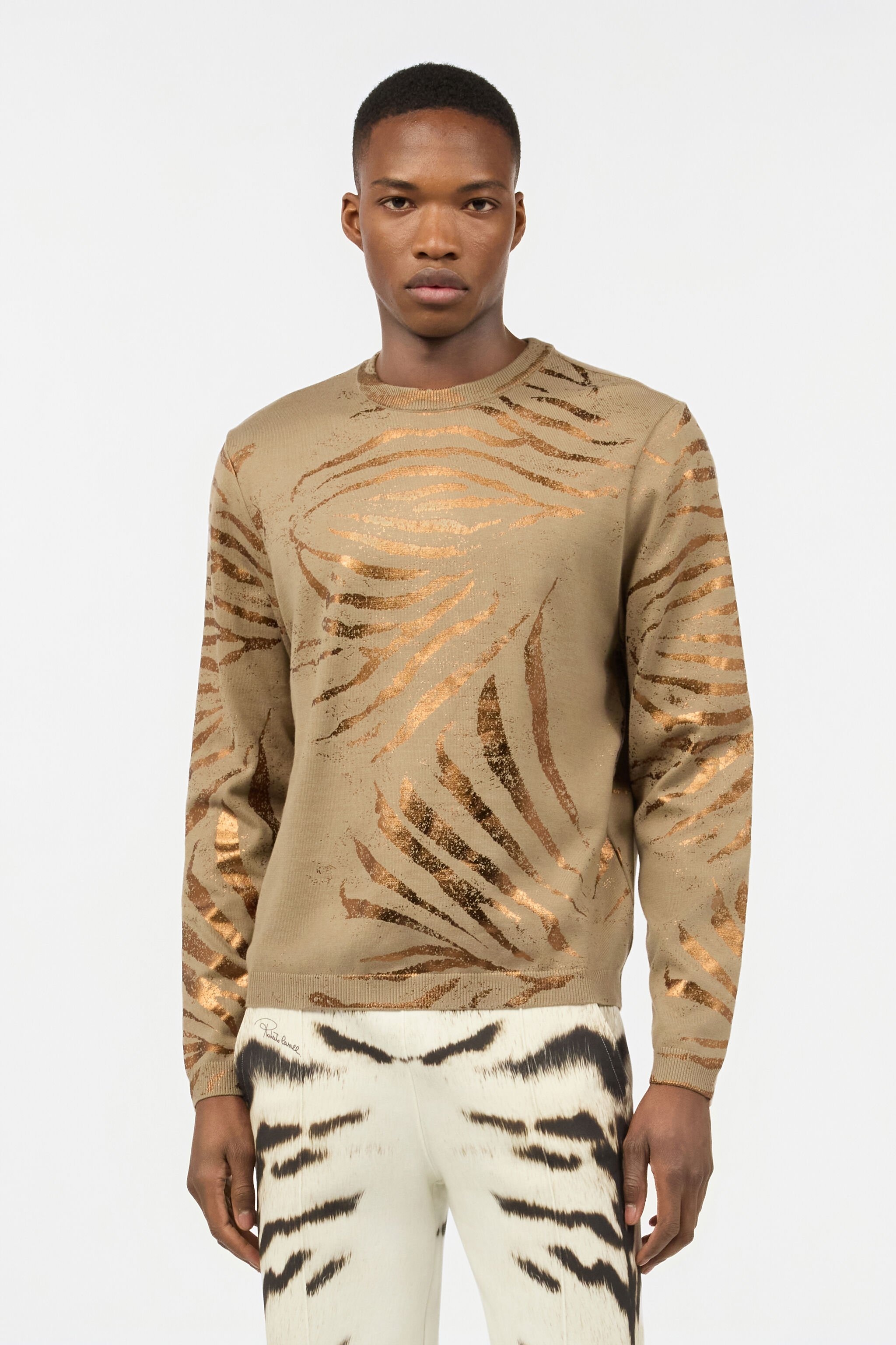 Sweater With Golden Tiger Skin Pattern - 3