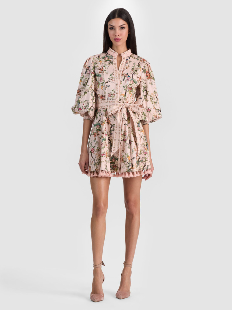 LUCY MINI SHIRT DRESS 2