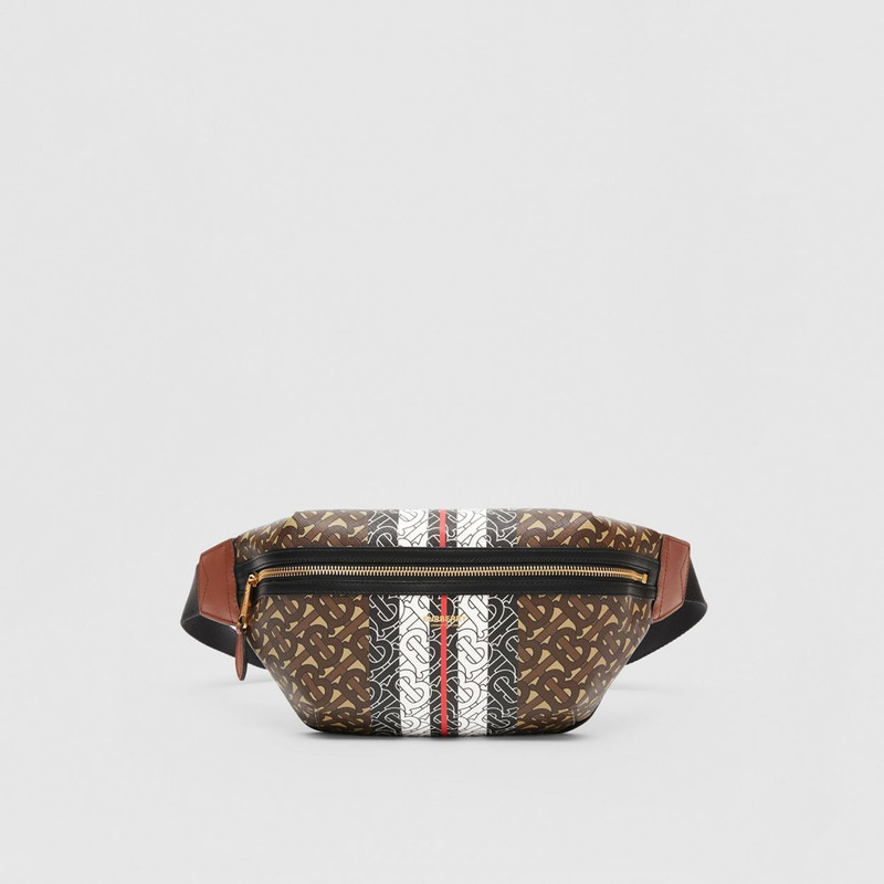 Medium Monogram Stripe E-canvas Bum Bag 1