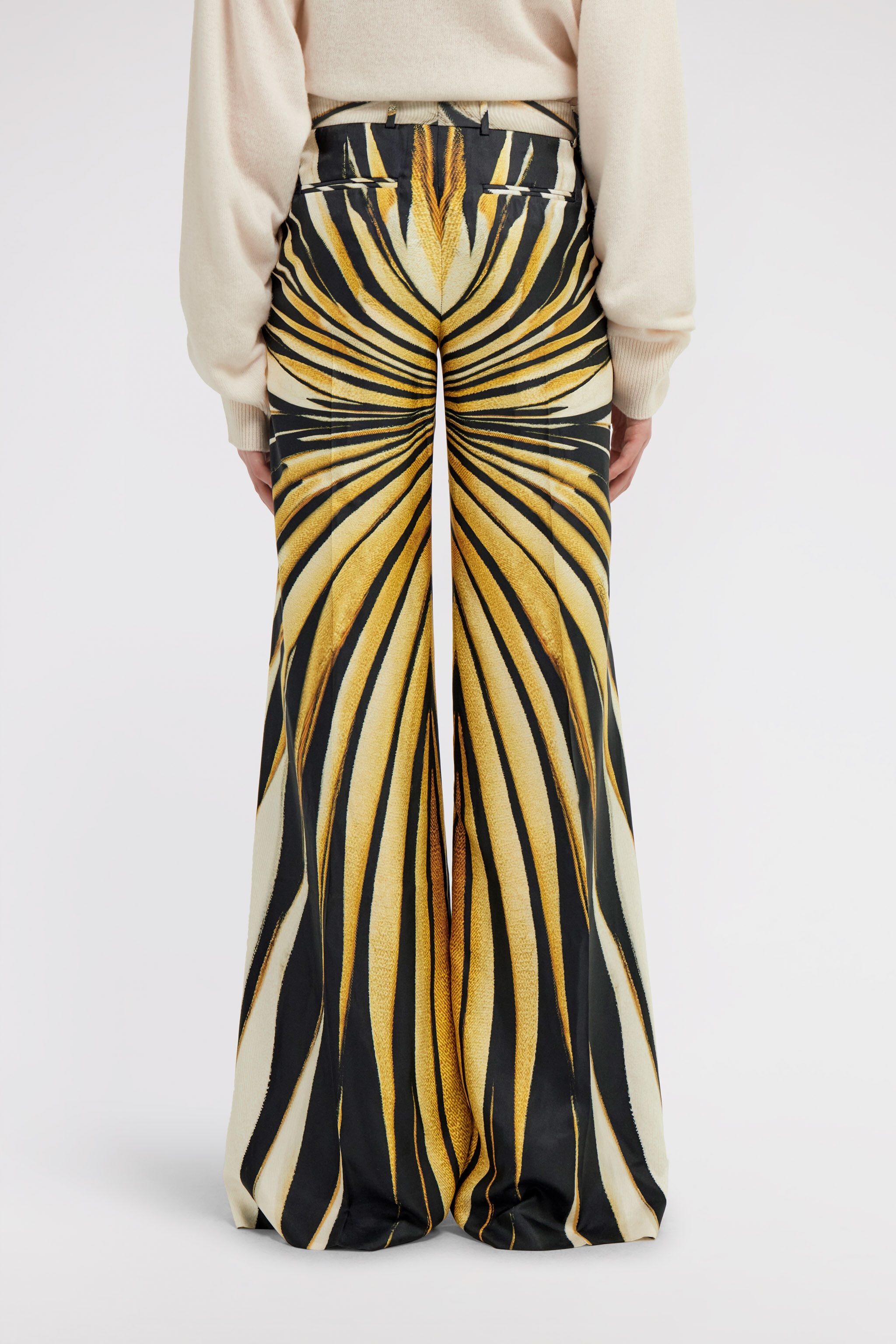 Ray of Gold Print Palazzo Pants - 4