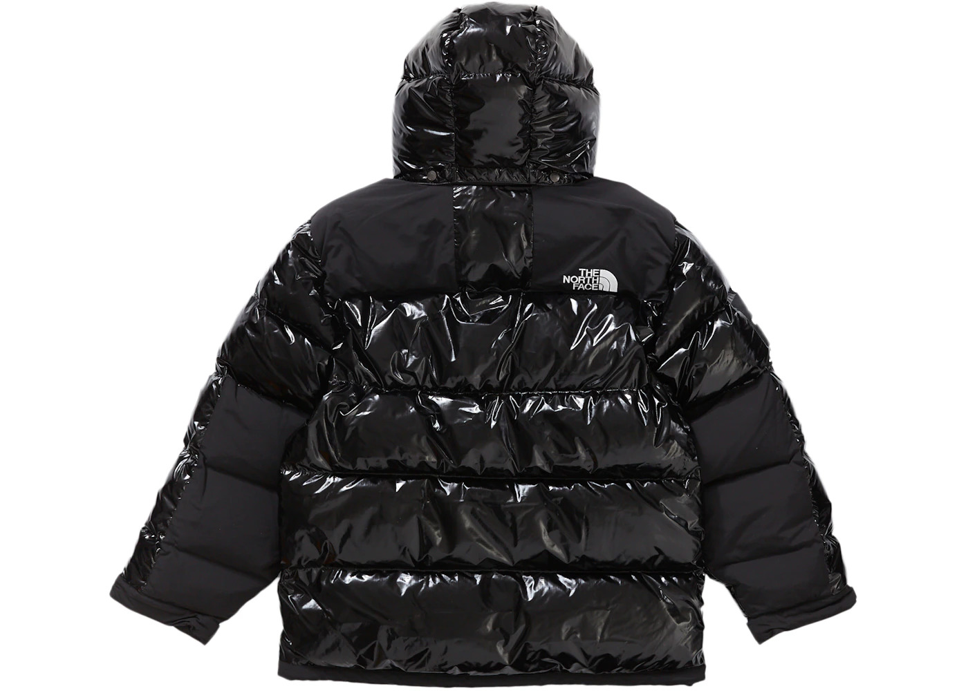 Supreme The North Face 700-Fill Down Parka Black Dragon - 3