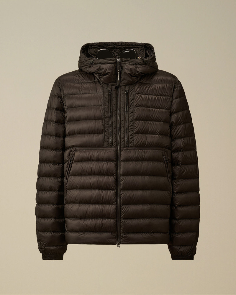 D.D. Shell Goggle Down Jacket 1