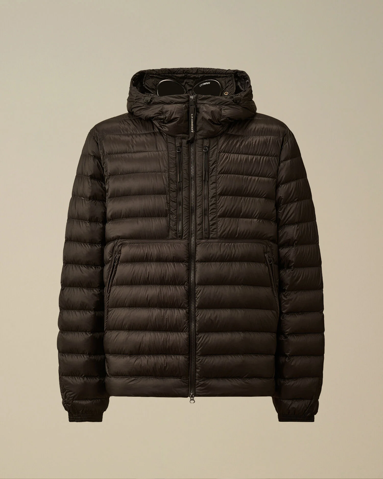 D.D. Shell Goggle Down Jacket - 1