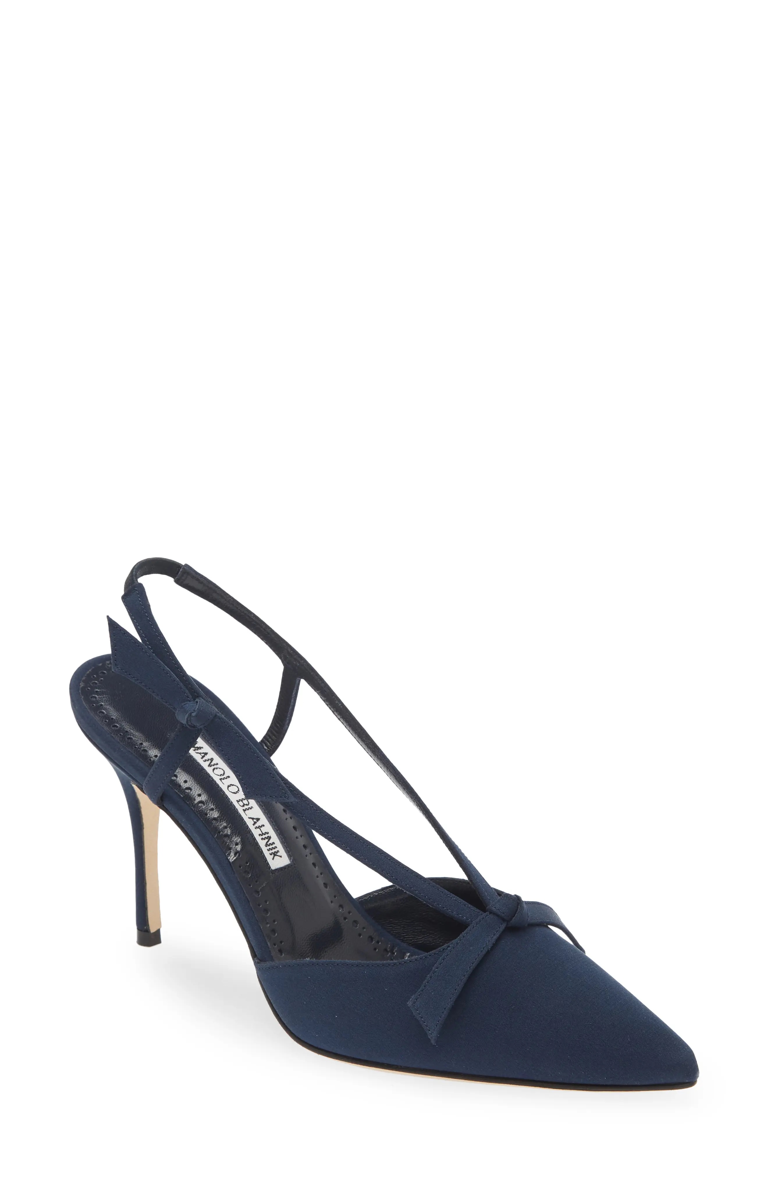 Corintia Pointed Toe Slingback Pump - 1