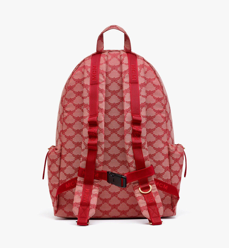 Himmel Backpack in Lauretos Jacquard 5