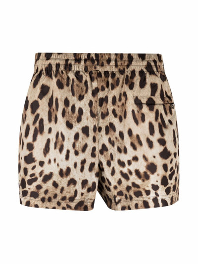 Dolce & Gabbana leopard-print logo-plaque swim shorts outlook