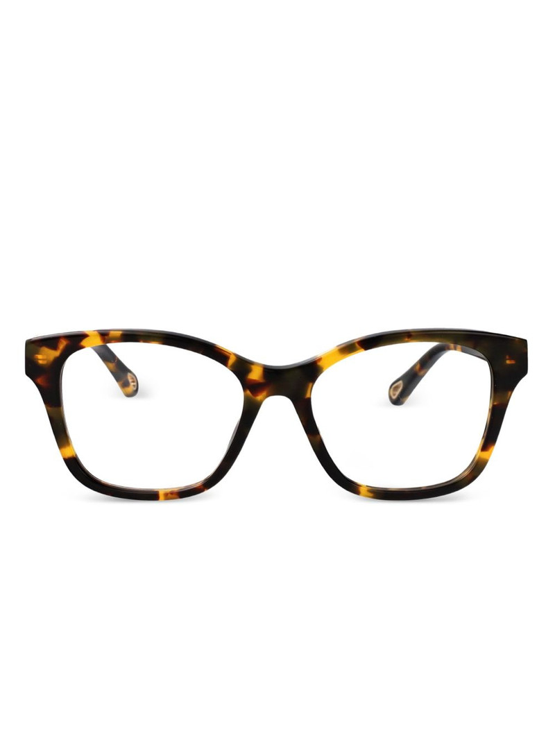 butterfly-frame glasses 1
