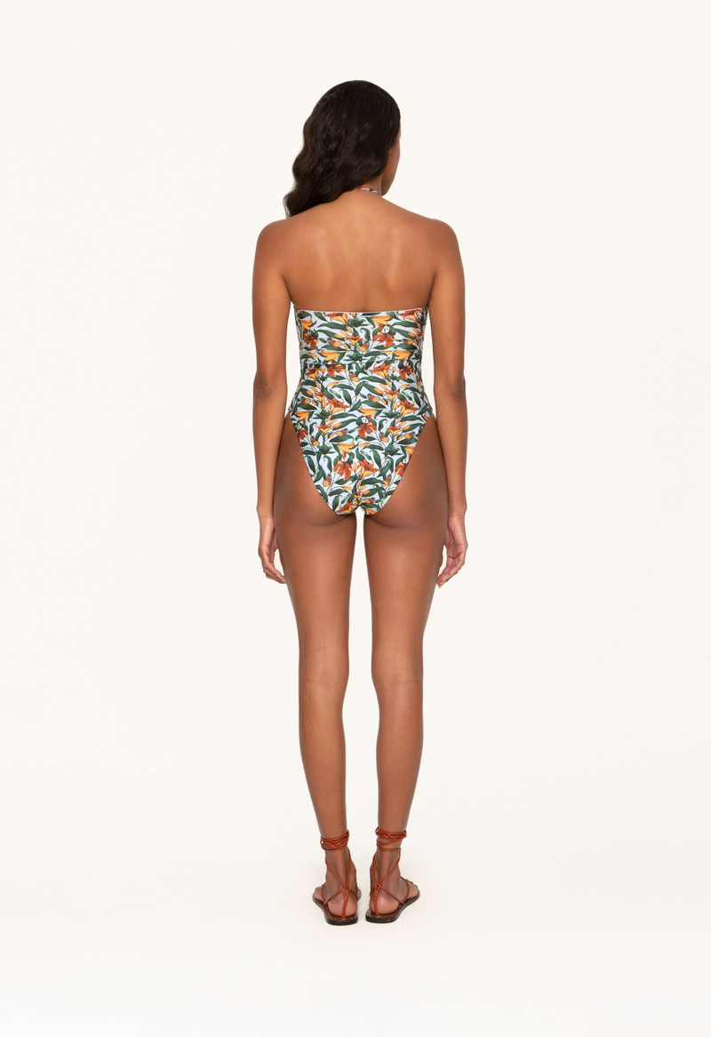 Monarca Monarca One Piece 4