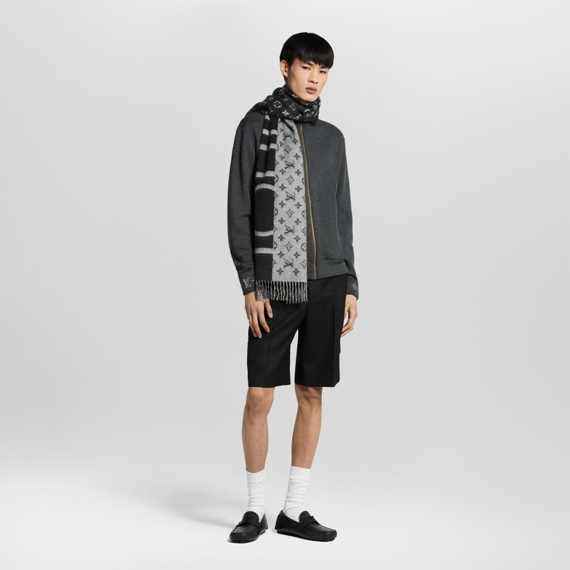 Louis Vuitton LV Monza Taiga outlook