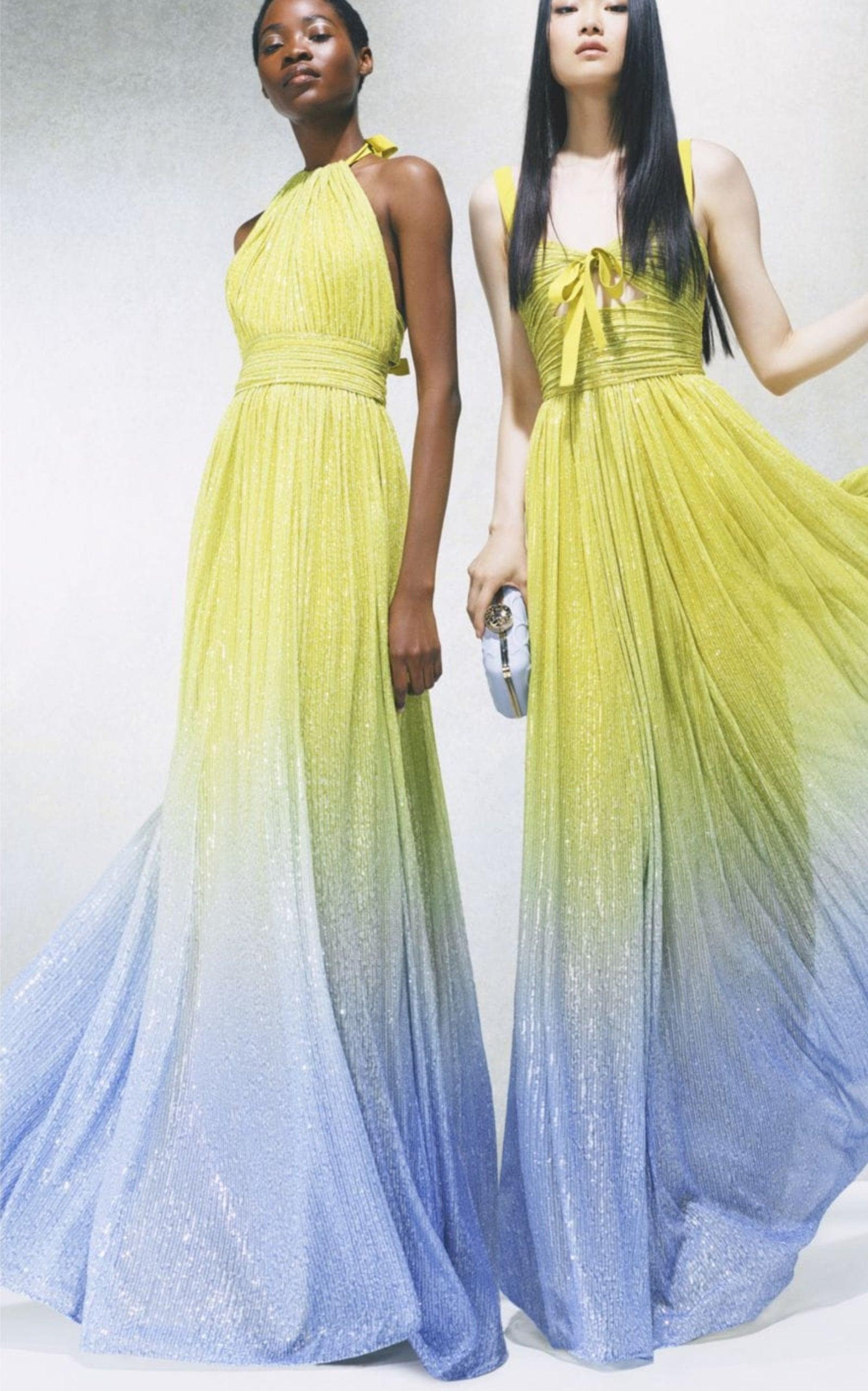Ombre Sequined Chiffon Gown - 6