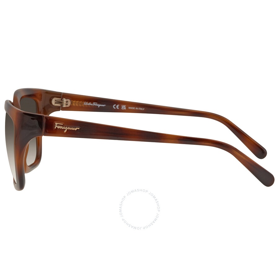 Salvatore Ferragamo Grey Rectangular Ladies Sunglasses SF1018S 214 59 - 4