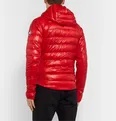 HyBridge Lite Slim-Fit Quilted Feather-Light 10D and Tensile-Tech Hooded Down Jacket - 11