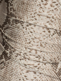 View image 7