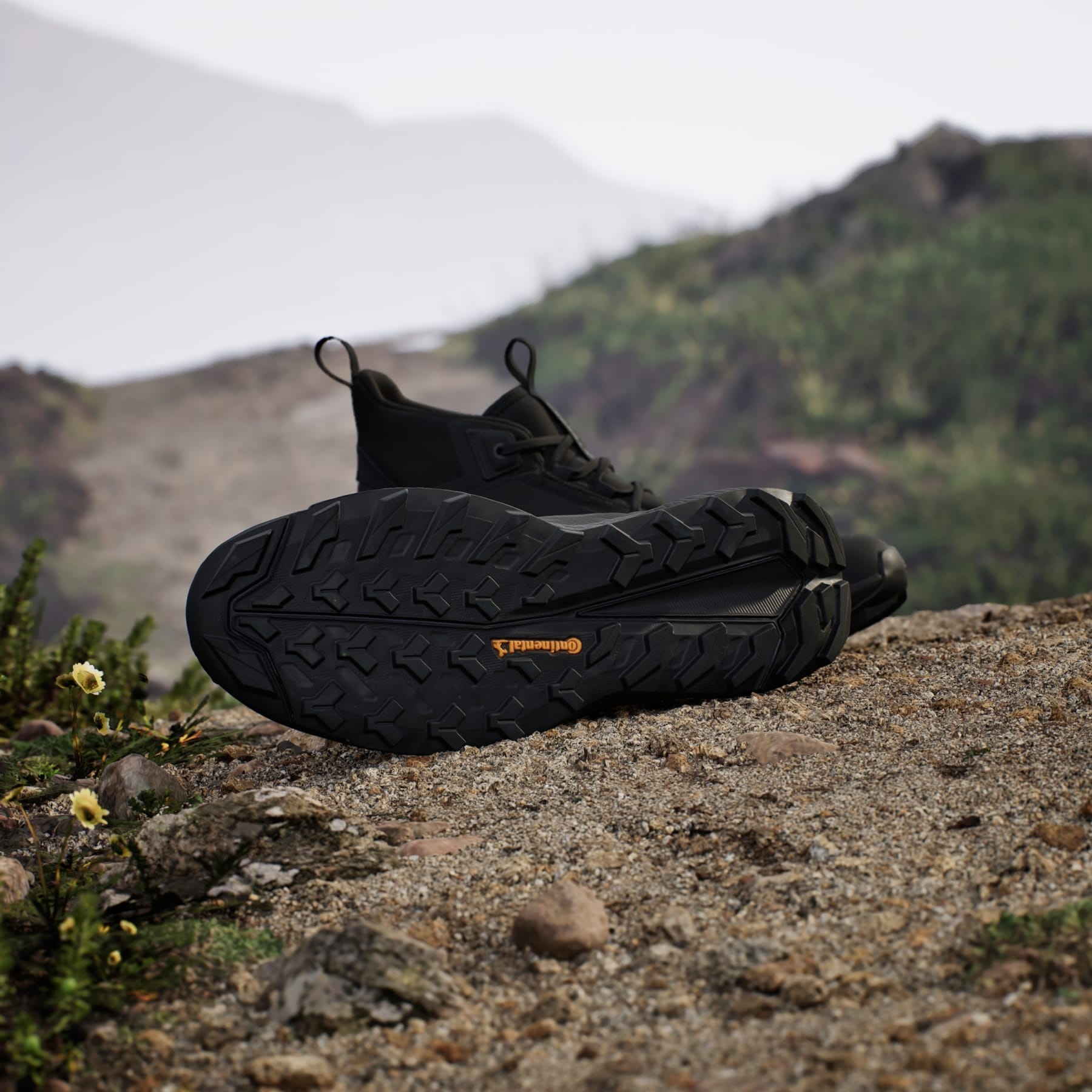 Terrex Free Hiker 2.0 Gore-Tex Hiking Shoes - 3