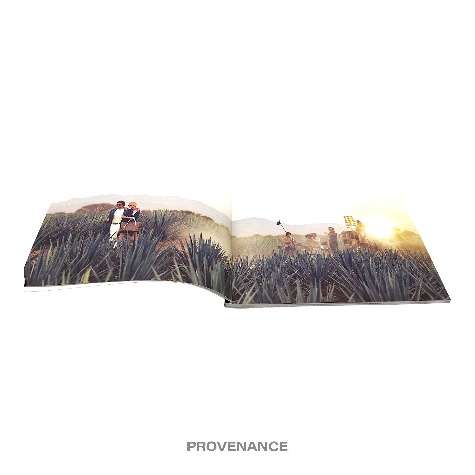 Louis Vuitton "Lame Du Voyage" Travel Look Book - 9