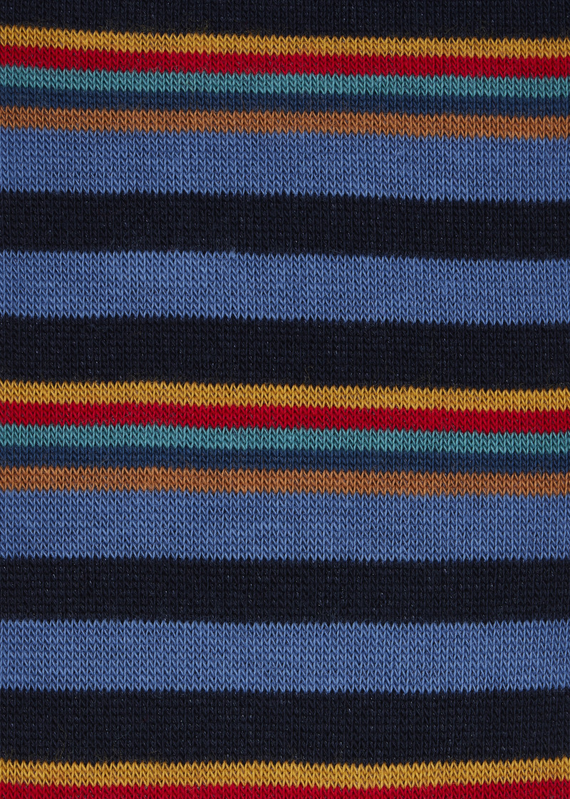 Navy 'Artist Stripe' Placement Socks 3