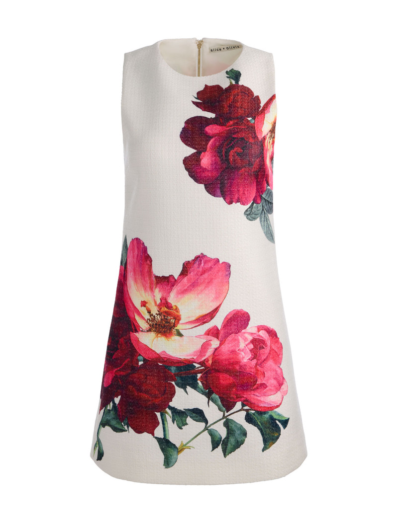 CLYDE MINI DRESS 1