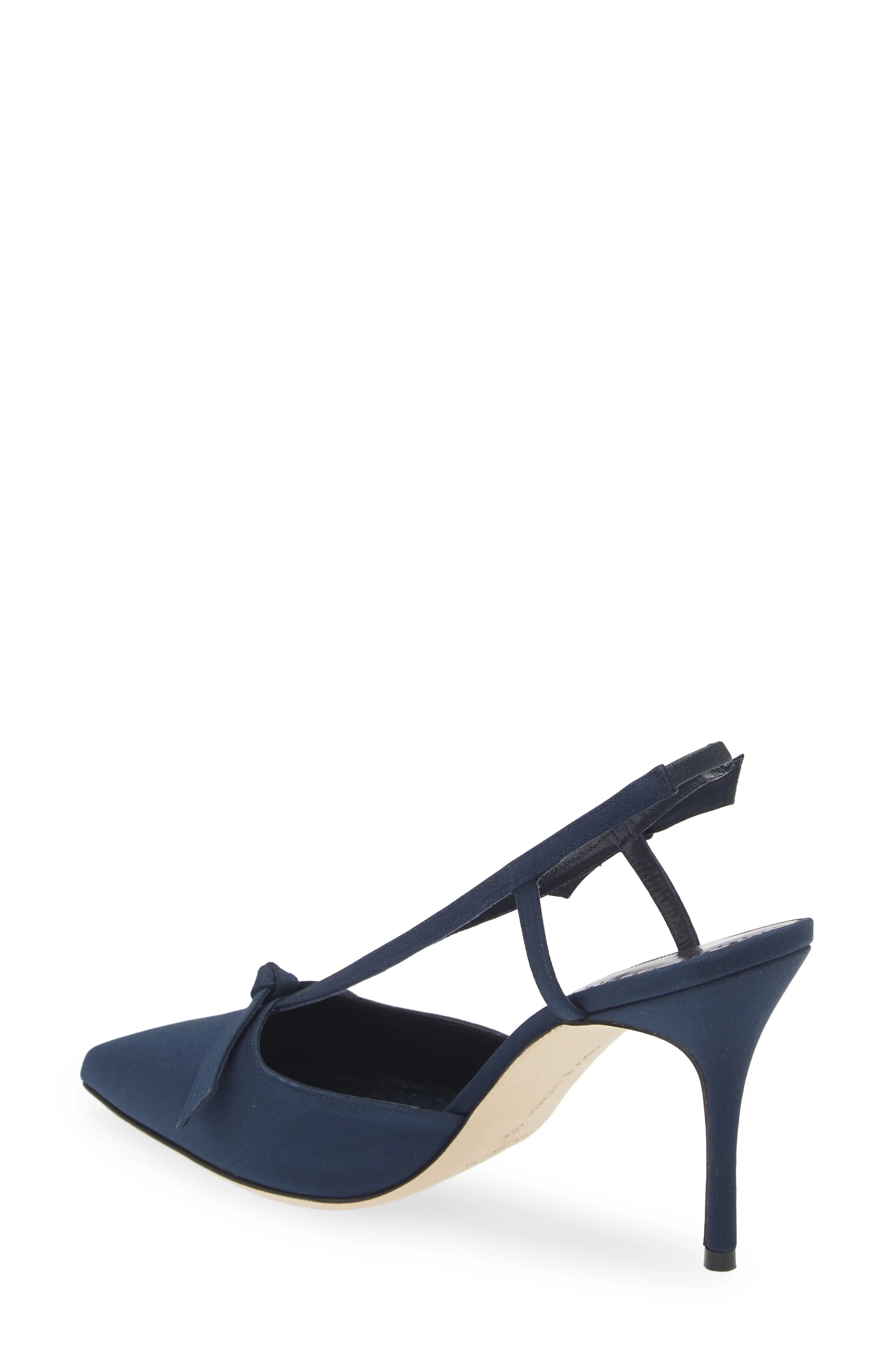 Corintia Pointed Toe Slingback Pump - 2