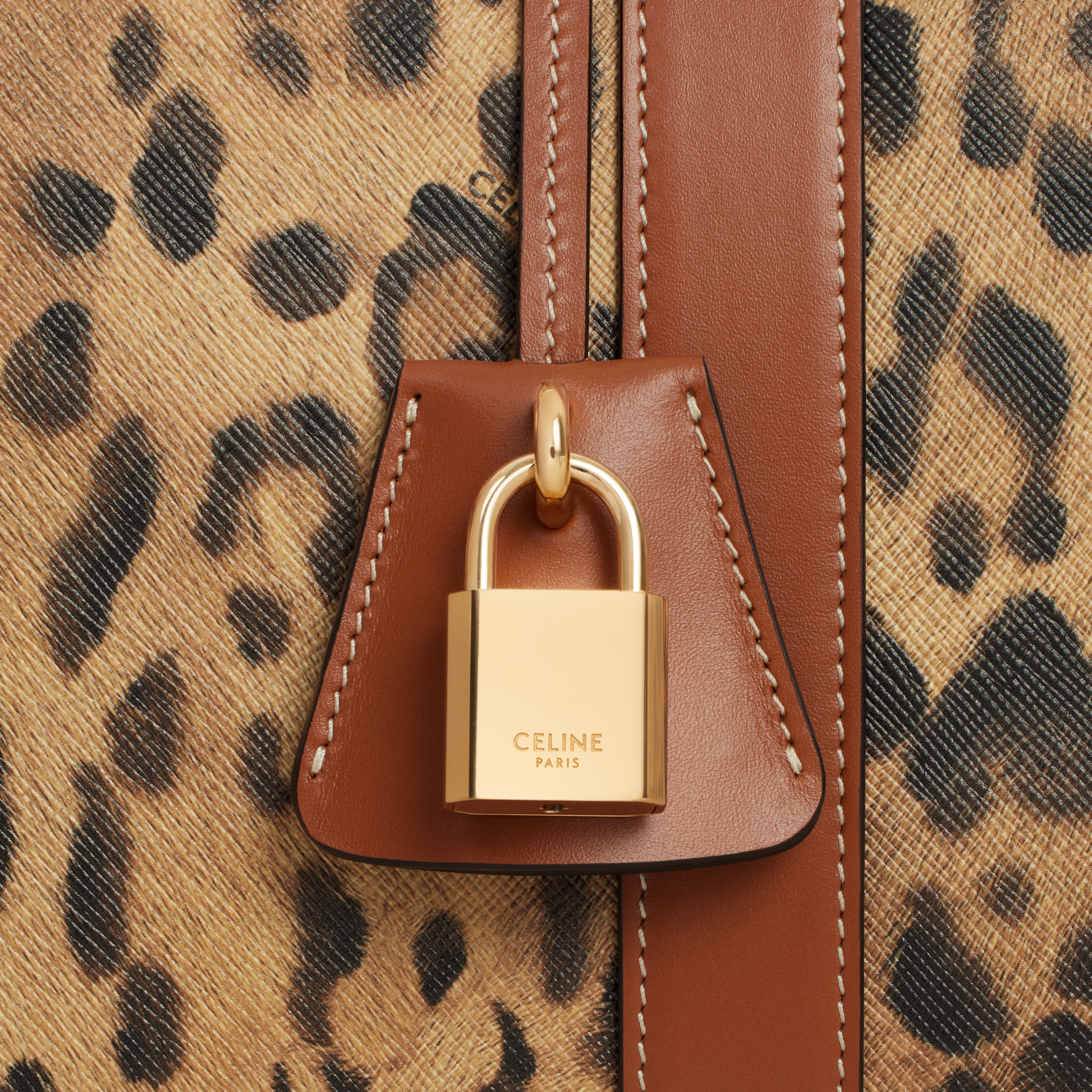Medium Travel Bag in Celine canvas with leopard print - 4
