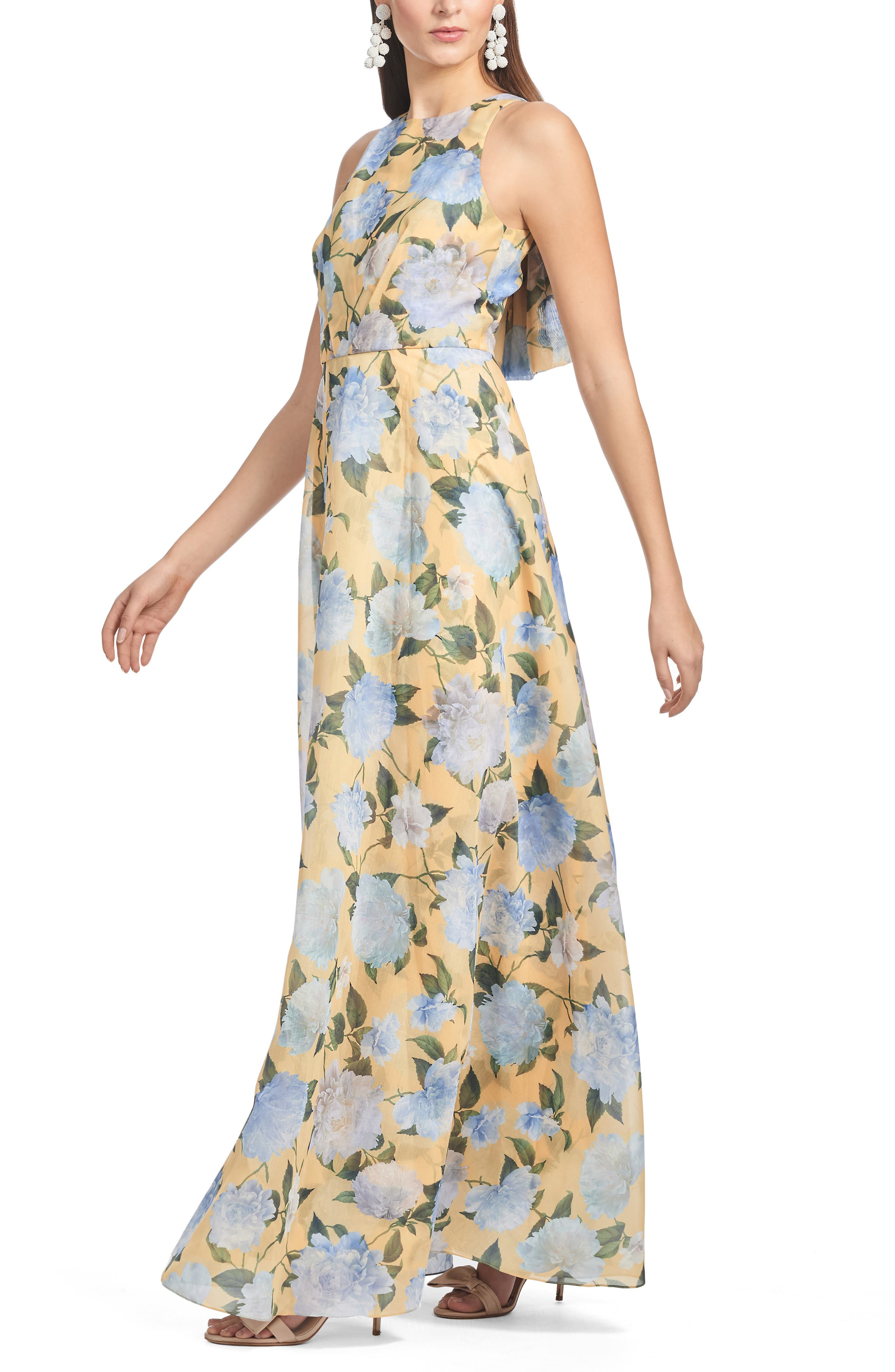 Sachin & Babi Kate Floral Print Sleeveless Gown in Sun And Sea Peonies at Nordstrom - 3