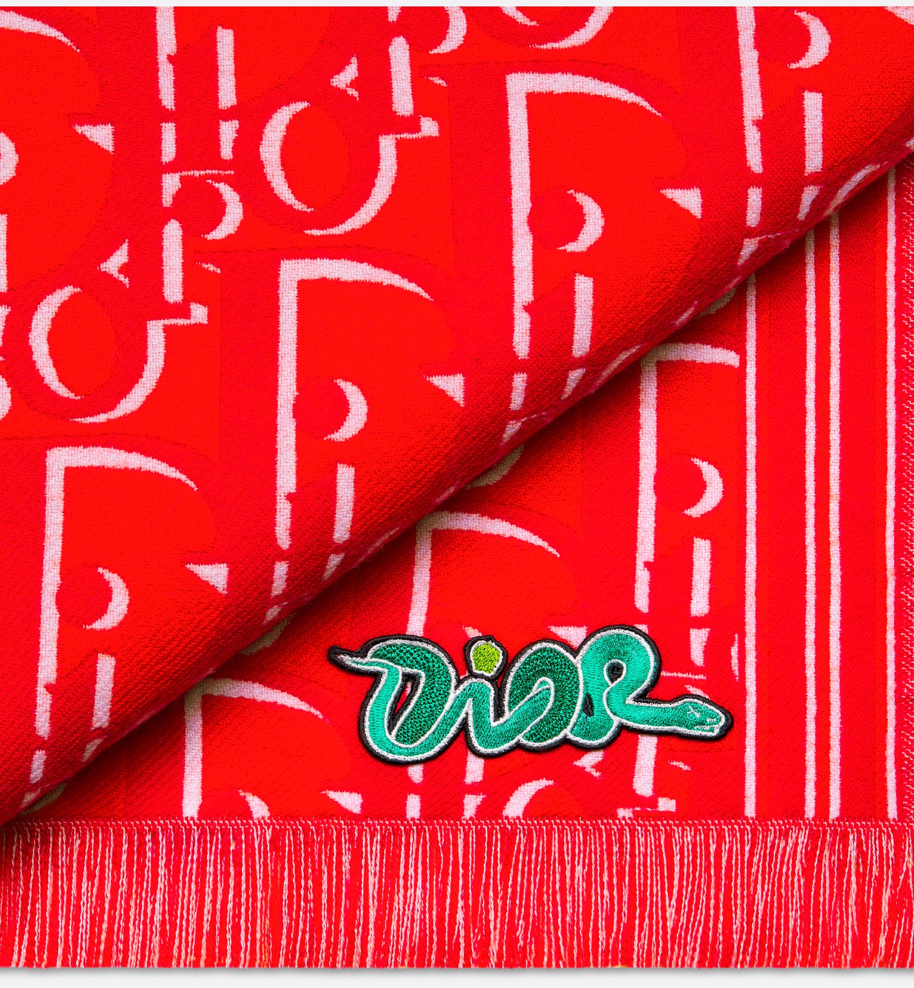 DIOR AND KAWS Scarf - 4