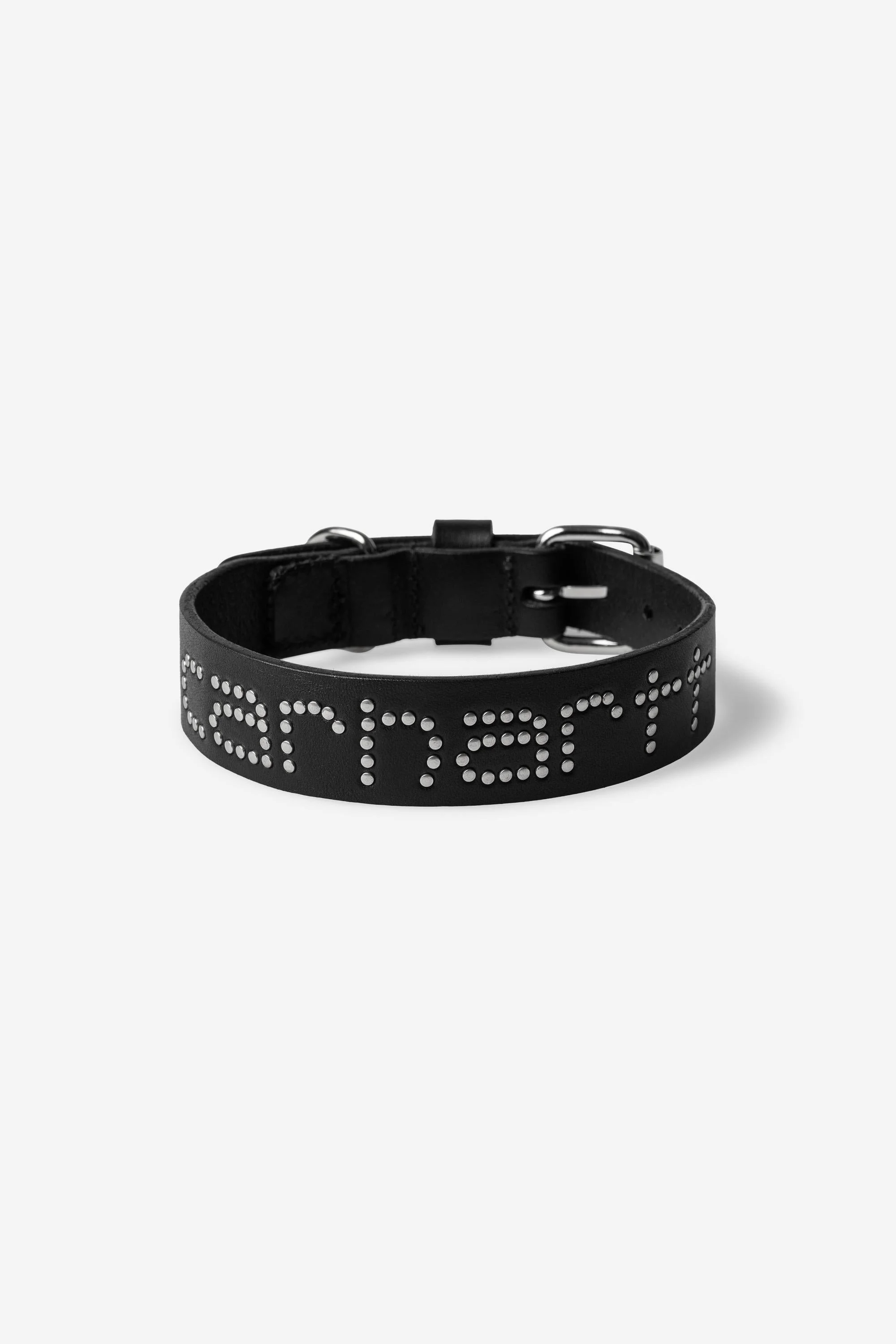 Script Studs Dog Collar - 1