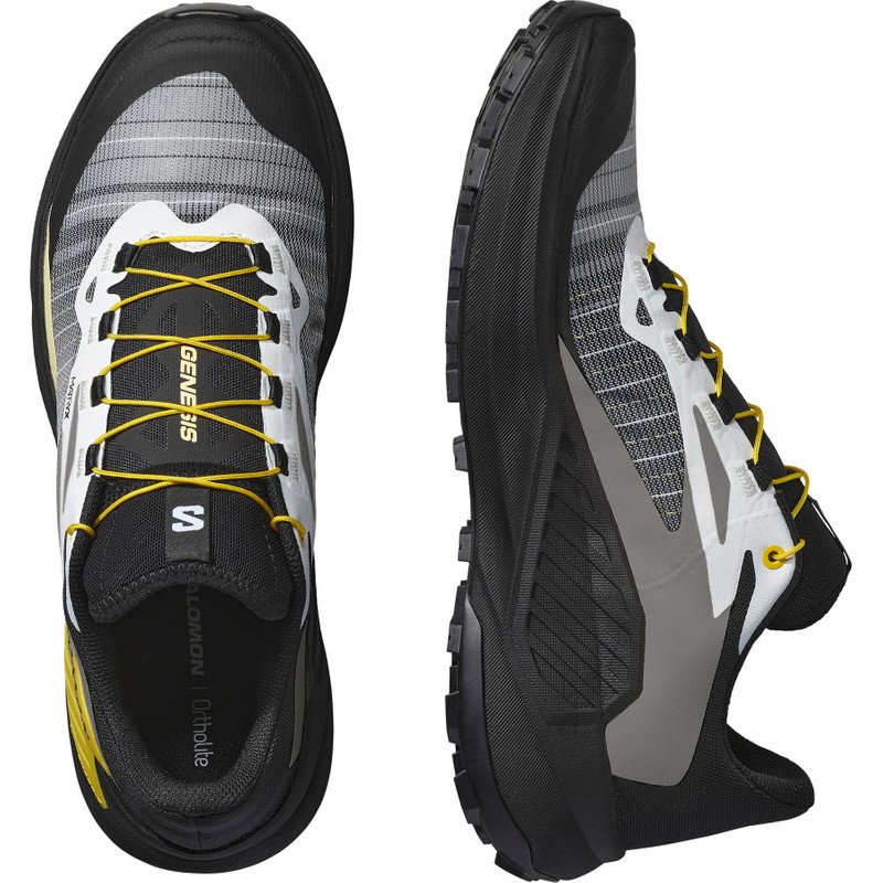 SALOMON GENESIS outlook