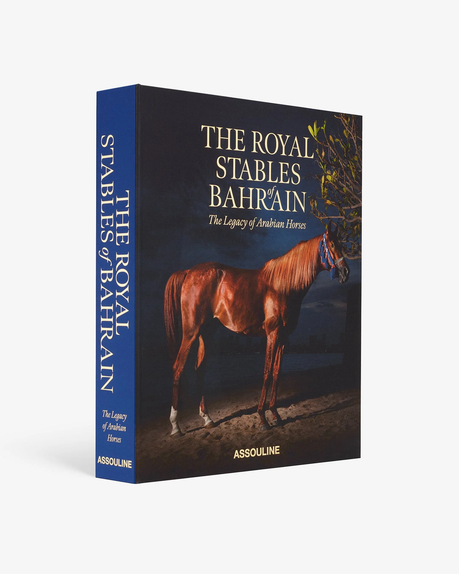 The Royal Stables of Bahrain: The Legacy of Arabian Horses - 1