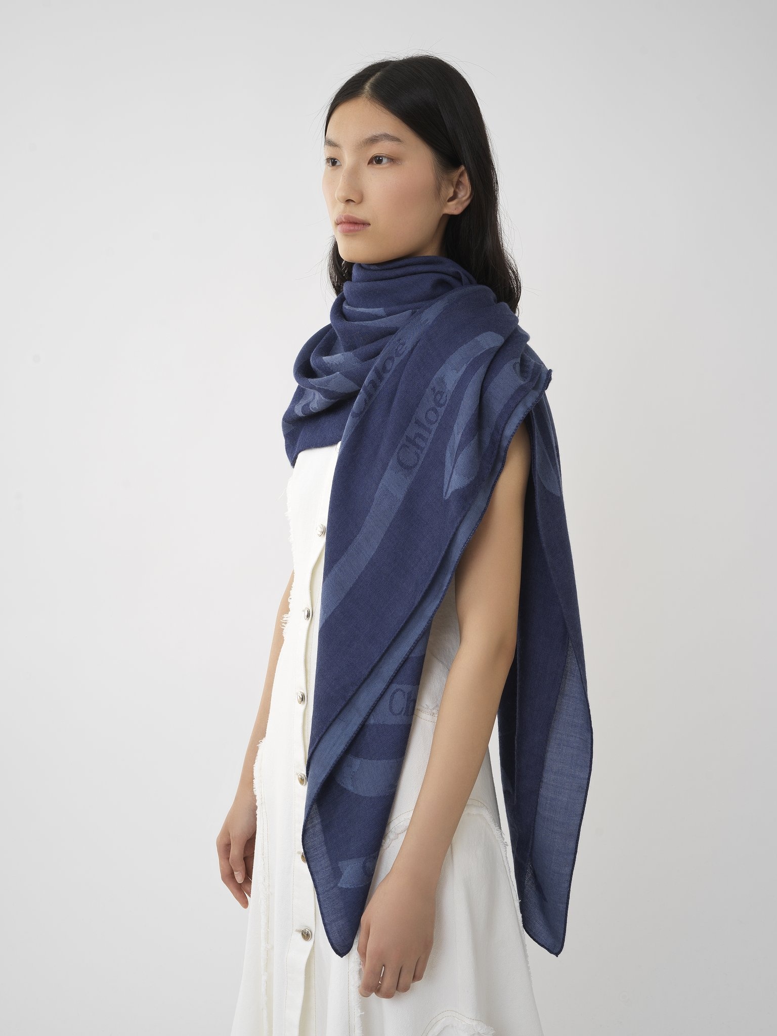 RIBBON JACQUARD SHAWL - 4