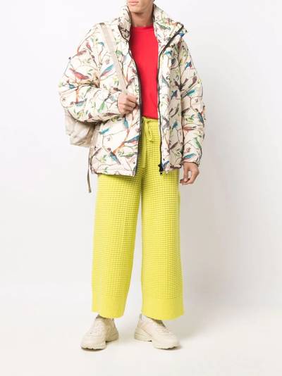 KENZO birds-print padded coat outlook